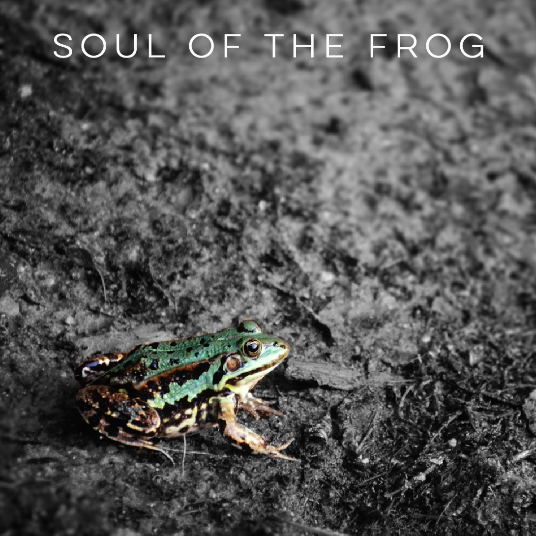 soul of the frog